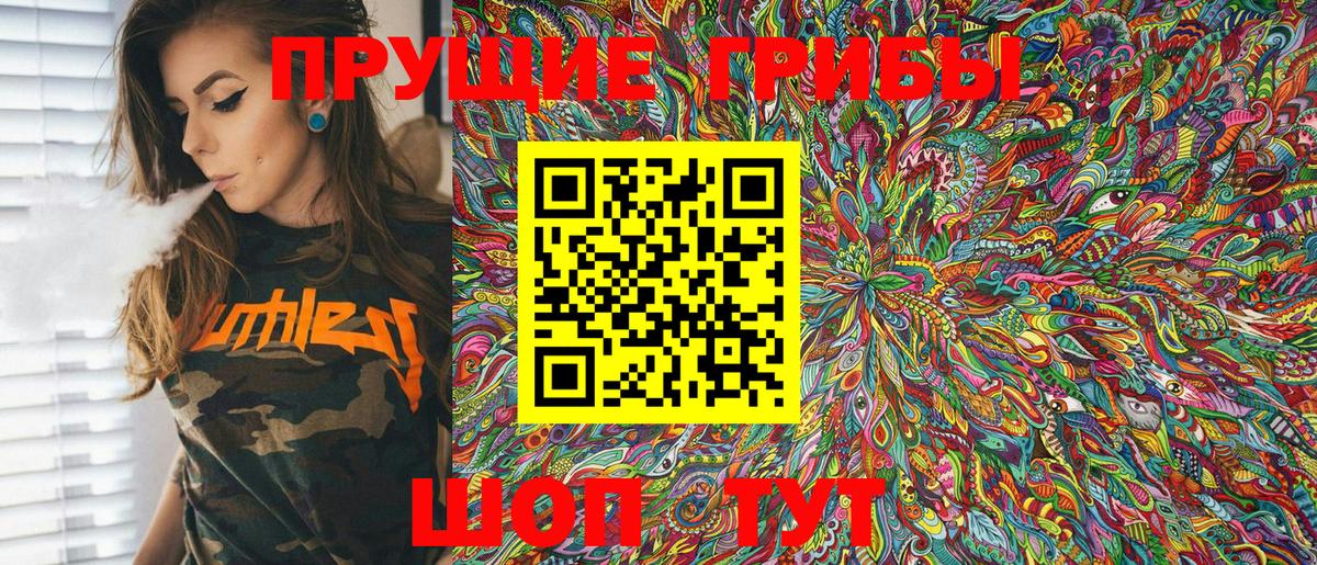 Губаха  Псилоцибиновые грибы Cubensis  Вход с VPN 